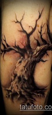 صورة لوشم بونساي - 19062017 - مثال - 072 وشم بونساي - 43222