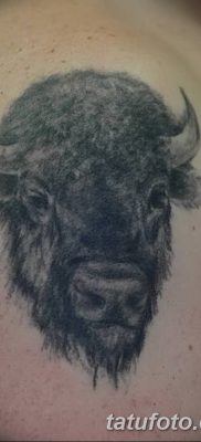 fotó egy bivaly tetoválásról, kelt 2018. 04. 16 -án №013 - Buffalo Tattoo -