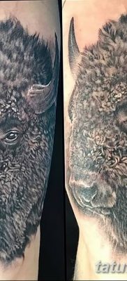 fotó egy bivaly tetoválásról, kelt 2018. 04. 16 -án №029 - Buffalo Tattoo -