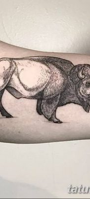 fotó egy bivaly tetoválásról, kelt 2018. 04. 16 -án №032 - Buffalo Tattoo -