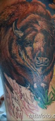 fotó egy bivaly tetoválásról, kelt 2018. 04. 16 -án №041 - Buffalo Tattoo -