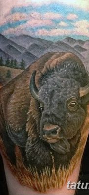 fotó egy bivaly tetoválásról, kelt 2018. 04. 16 -án №042 - Buffalo Tattoo -