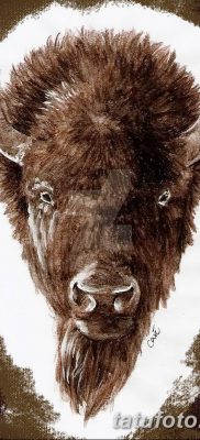 fotó egy bivaly tetoválásról, kelte: 2018.04.16. №049 - Buffalo Tattoo -