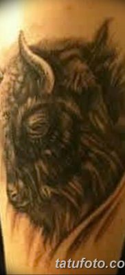 fotó egy bivaly tetoválásról, kelt 2018. 04. 16 -án №054 - Buffalo Tattoo -