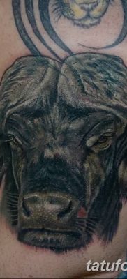 fotó egy bivaly tetoválásról, kelt 2018. 04. 16 -án №062 - Buffalo Tattoo -