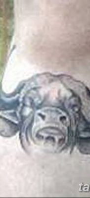 fotó egy bivaly tetoválásról, kelt 2018. 04. 16 -án №092 - Buffalo Tattoo -