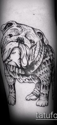 Fotó egy bulldog tetoválásról - 03062017 - példa - 043 Bulldog tetoválás