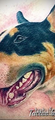 Fotó egy bull terrier tetoválásról - 18052017 - példa - 005 Bull terrier tetoválás