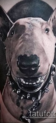 Fotó egy bull terrier tetoválásról - 18052017 - példa - 017 Bull terrier tetoválás