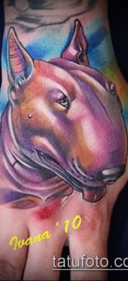 Fotó egy bull terrier tetoválásról - 18052017 - példa - 018 Bull terrier tetoválás