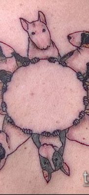 Fotó egy bull terrier tetoválásról - 18052017 - példa - 019 Bull terrier tetoválás