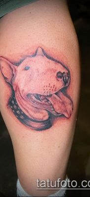 Fotó egy bull terrier tetoválásról - 18052017 - példa - 039 Bull terrier tetoválás