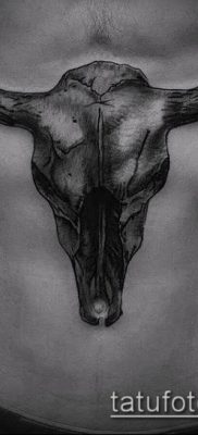 bika koponya tetoválás fotó (érték) - példa egy érdekes tetoválási rajzra - 047