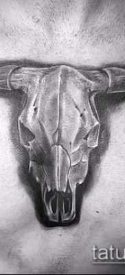 bika koponya tetoválás fotó (érték) - példa egy érdekes tetoválási rajzra - 040