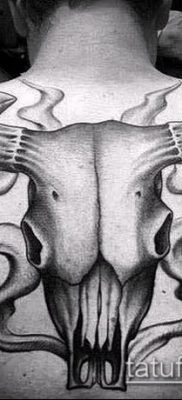bika koponya tetoválás fotó (érték) - példa egy érdekes tetoválási rajzra - 031