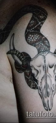 bika koponya tetoválás fotó (érték) - példa egy érdekes tetoválási rajzra - 030