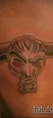 bika koponya tetoválás fotó (érték) - példa egy érdekes tetoválási rajzra - 028