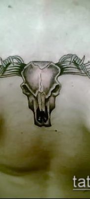 bika koponya tetoválás fotó (érték) - példa egy érdekes tetoválási rajzra - 026