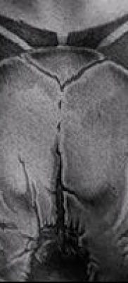 bika koponya tetoválás fotó (érték) - példa egy érdekes tetoválási rajzra - 025