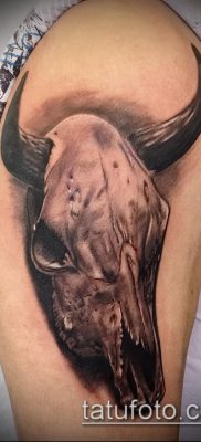 bika koponya tetoválás fotó (érték) - példa egy érdekes tetoválási rajzra - 023