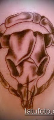 bika koponya tetoválás fotó (érték) - példa egy érdekes tetoválási rajzra - 013