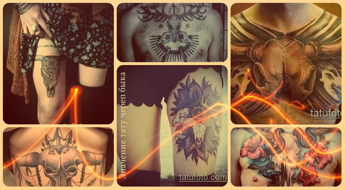 A bika koponya tetoválás jelentése - példák a kész tetoválások fotóira