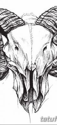 fotó egy kecske koponya tetoválásról, kelte: 2017. 09. 20. №001 - kecske koponya tetoválás -