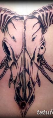 fotó egy kecske koponya tetoválásról, keltezve 2017. 09. 20 -án №011 - kecske koponya tetoválás -