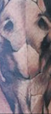 fotó egy kecske koponya tetoválásról, keltezve 2017. 09. 20 -án №031 - kecske koponya tetoválás -