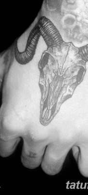 fotó egy kecske koponya tetoválásról, keltezve 2017. 09. 20 -án №056 - kecske koponya tetoválás -