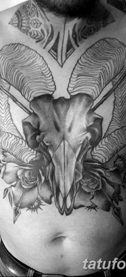 fotó egy kecske koponya tetoválásról, keltezve 2017. 09. 20 -án №064 - kecske koponya tetoválás -