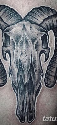 fotó kecske koponya tetoválásról, kelt 2017. 09. 20. №067 - kecske koponya tetoválás -