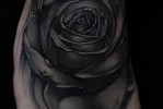 Fekete rózsa tetoválás a lány lábán
