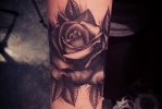 Fekete rózsa tetoválás az alkaron