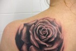 Fekete rózsa tetoválás a fiatal lány lapockáján