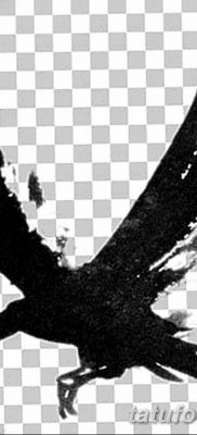 Fotó fekete holló tetoválásról 2019.04.15. №081 - ötletek fekete holló tetoválás -