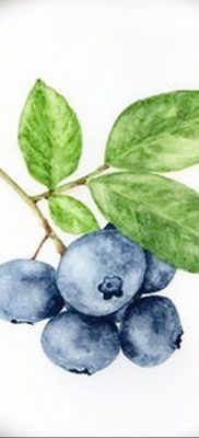 fotó áfonyás tetoválásról, kelt 2017.08.01. №041 - Áfonyás tetoválás -