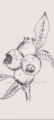 fotó áfonyás tetoválásról, kelt 2017.08.21 -én №071 - Áfonyás tetoválás -