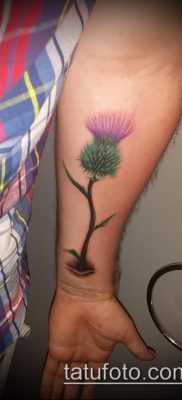 fotó a bogáncs tetoválásról (jelentése) - egy példa egy érdekes tetoválási tervre - 050