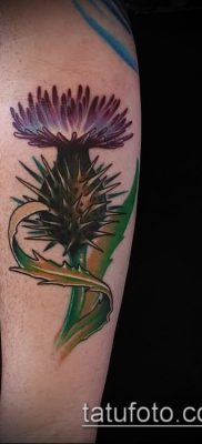 fotó a bogáncs tetoválásról (jelentése) - egy példa egy érdekes tetoválási tervre - 036