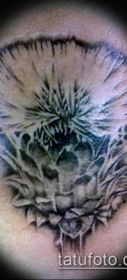 fotó a bogáncs tetoválásról (jelentése) - egy példa egy érdekes tetoválási tervre - 035