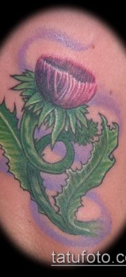 fotó a bogáncs tetoválásról (jelentése) - egy példa egy érdekes tetoválási tervre - 034