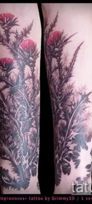 fotó a bogáncs tetoválásról (jelentése) - egy példa egy érdekes tetoválási tervre - 033