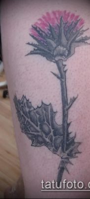 fénykép a bogáncs tetoválásról (jelentése) - egy példa egy érdekes tetoválási tervre - 032