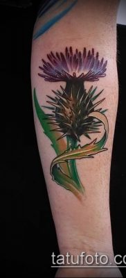 fénykép a bogáncs tetoválásról (jelentése) - egy példa egy érdekes tetoválási tervre - 030