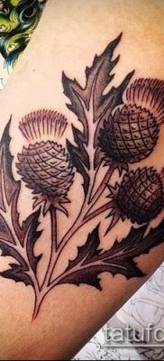 fotó a bogáncs tetoválásról (jelentése) - egy példa egy érdekes tetoválási tervre - 028