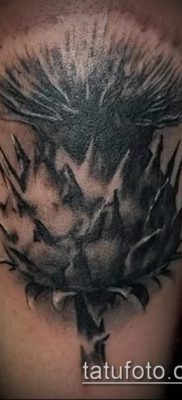 fénykép a bogáncs tetoválásról (jelentése) - egy példa egy érdekes tetoválási tervre - 027