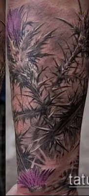 fénykép a bogáncs tetoválásról (jelentése) - egy példa egy érdekes tetoválási tervre - 025