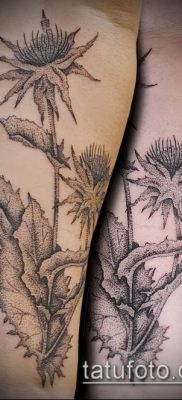 fénykép a bogáncs tetoválásról (jelentése) - egy példa egy érdekes tetoválási tervre - 024