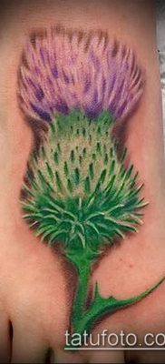 fotó a bogáncs tetoválásról (jelentése) - egy példa egy érdekes tetoválási tervre - 023